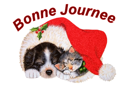 BONNE JOURNE